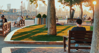 People sitting on benches near trees