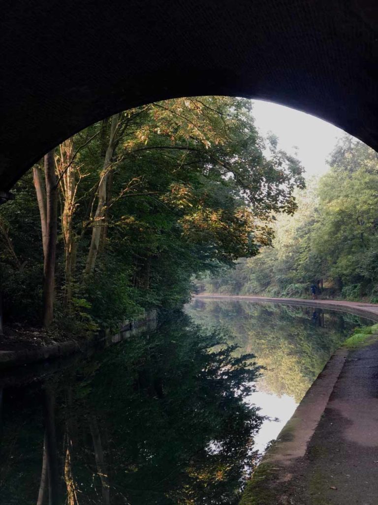 View of trees and canal through a tunnel