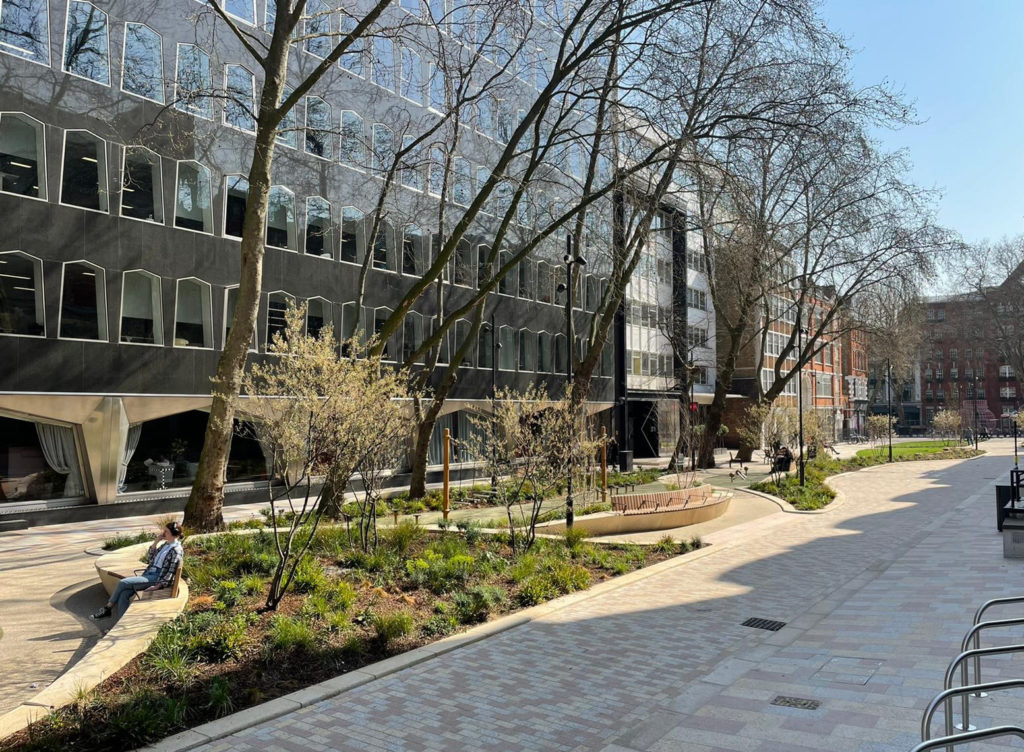 Trees and plants in a pedestrianised urban area