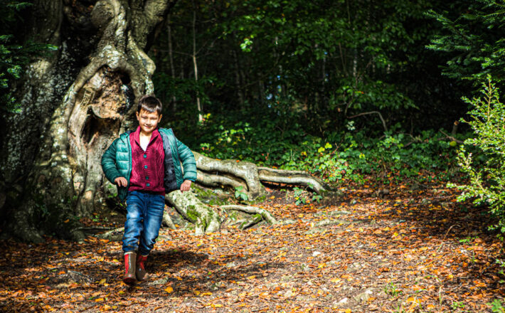 Boy walking in woods