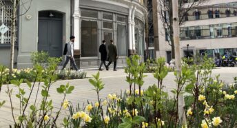 Clerkenwell Cross with daffodils