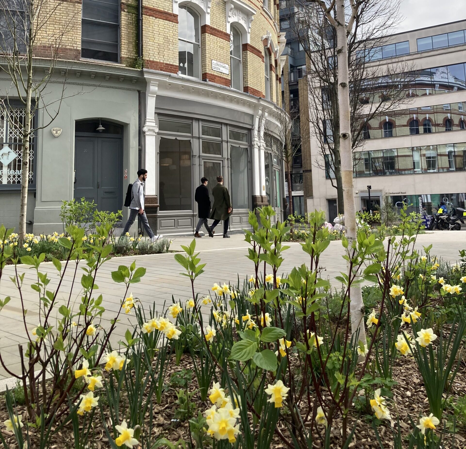 Clerkenwell Cross with daffodils