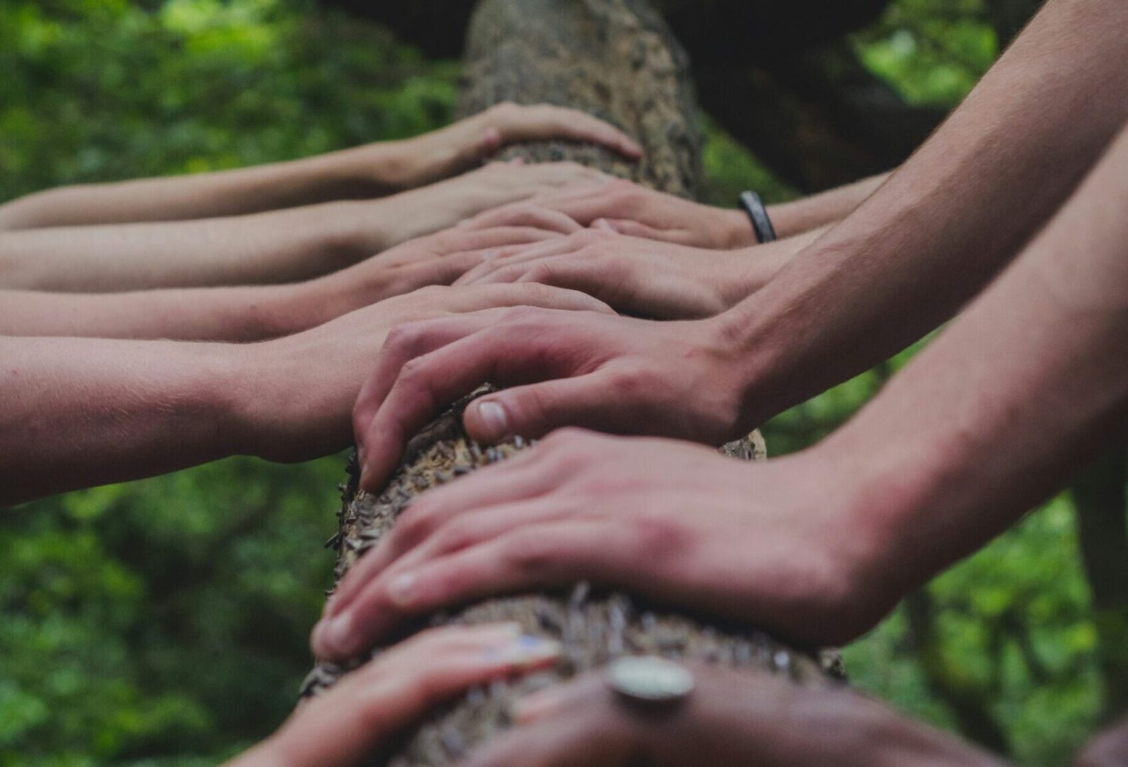 volunteers of The London Tree Ring Green
