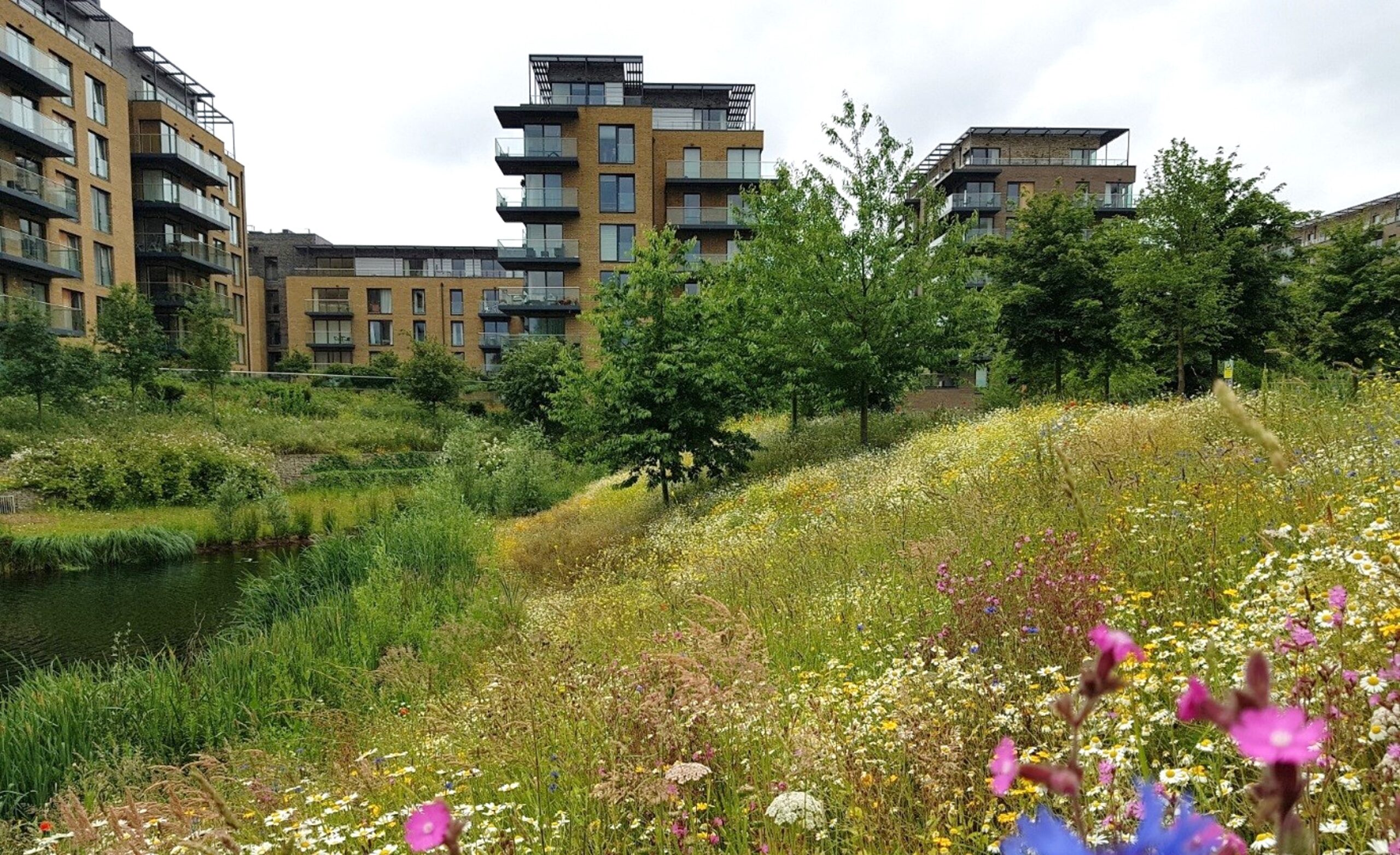 Big Give Earth Raise 2026